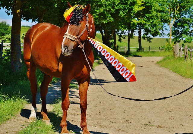 球员赛后一句“我没尽全力”吓人