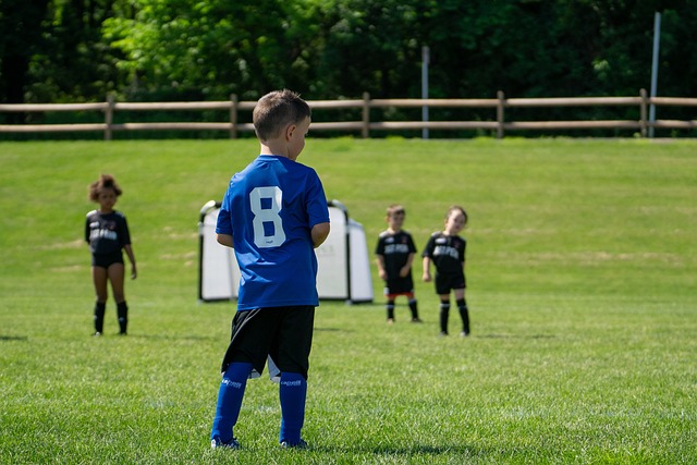 官方：诺里斯确认明年将使用1号作为自己的车号